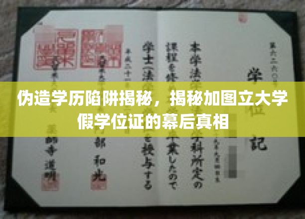 揭秘伪造学历陷阱，深度剖析加图立大学假学位证的幕后真相