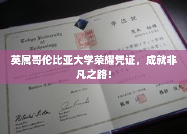 哥伦比亚荣耀证书，开启非凡学术旅程的钥匙