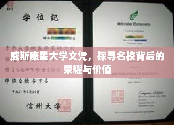 威斯康星大学荣耀揭秘，文凭背后的名校魅力与价值探寻