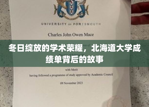 冬日绽放的学术荣耀，北海道大学成绩单背后的故事