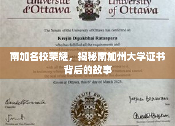 探寻南加大荣耀，证书背后的传奇故事揭秘
