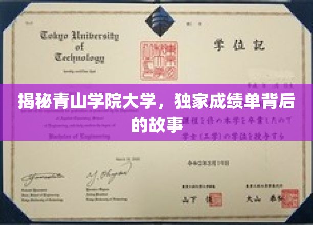 青山秘境，大学成绩单背后隐藏的独家传奇
