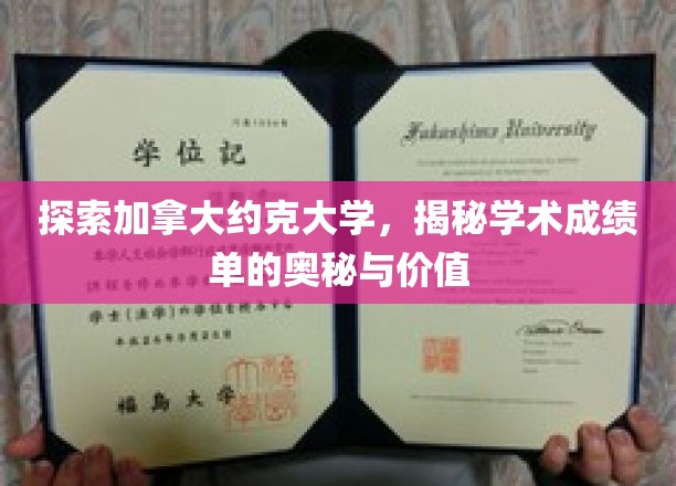 解锁约克大学成绩单，探寻学术成就的隐藏秘密与深远意义