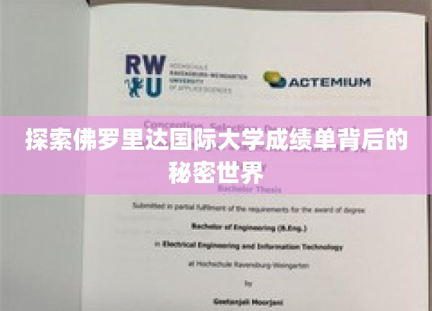 解码佛罗里达国际大学成绩单，揭秘学术奥秘的神秘之门