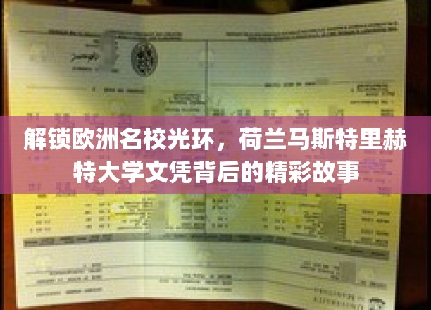解锁欧洲名校光环，荷兰马斯特里赫特大学文凭背后的精彩故事