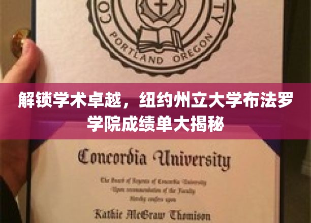 探寻学术巅峰，纽约州立大学布法罗学院成绩单背后的故事