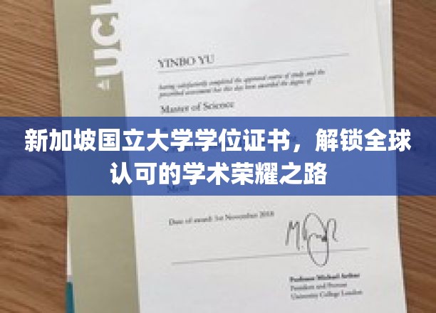 跨越国界，新加坡国立大学学位证书开启全球学术辉煌之旅