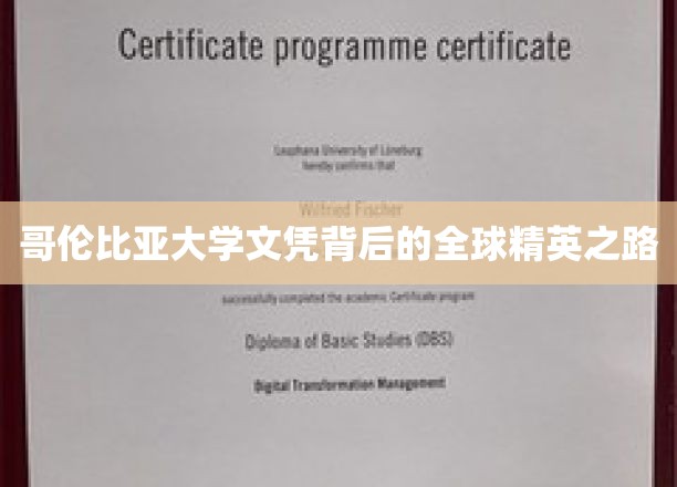 解锁哥伦比亚大学精英梦，全球学子奋斗轨迹大揭秘