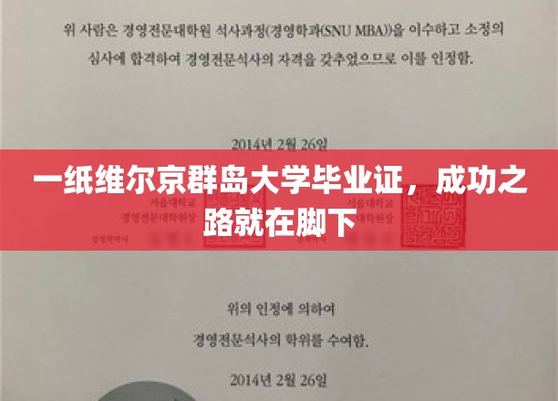 一纸维尔京群岛大学毕业证，成功之路就在脚下