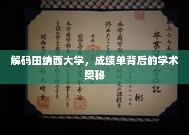 解码田纳西大学，成绩单背后的学术奥秘