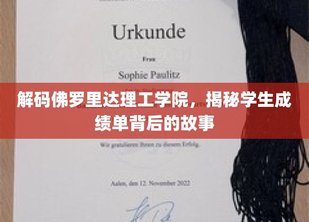 探寻佛罗里达理工学院，揭开成绩单背后的神秘面纱