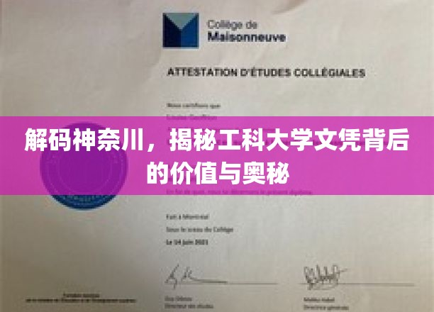 解码神奈川，揭秘工科大学文凭背后的价值与奥秘
