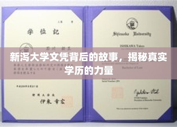 新泻大学文凭，探寻学历背后的真实影响力与传奇故事