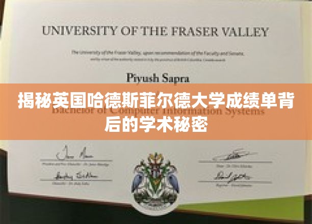 揭秘英国哈德斯菲尔德大学成绩单背后的学术奥秘