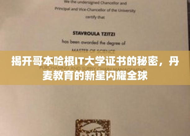 揭开哥本哈根IT大学证书的秘密，丹麦教育的新星闪耀全球