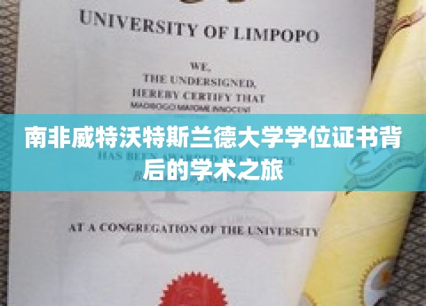 南非威特沃特斯兰德大学学位证书背后的学术之旅