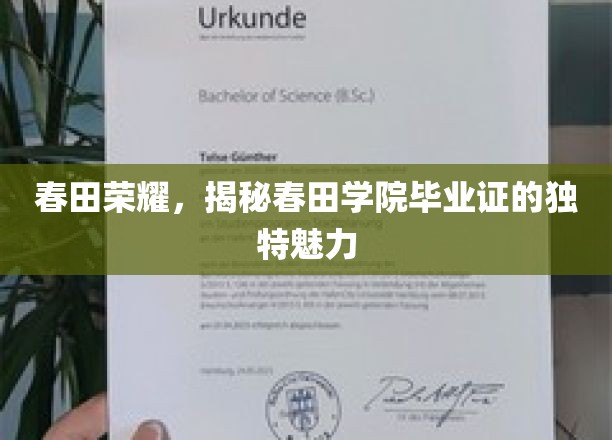 春田传奇，毕业证背后的春田学院风采揭秘