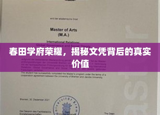 春田学府之光，探究文凭背后的深层价值揭秘