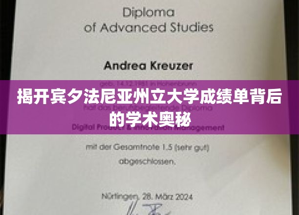 探索宾夕法尼亚州立大学成绩单的学术秘境