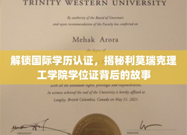 解锁国际学历认证，揭秘利莫瑞克理工学院学位证背后的故事