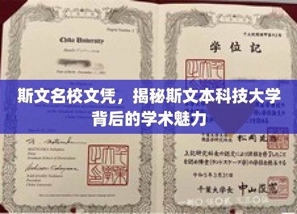 斯文名校文凭，揭秘斯文本科技大学背后的学术魅力