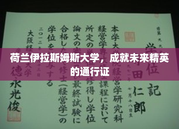 荷兰伊拉斯姆斯大学，成就未来精英的通行证