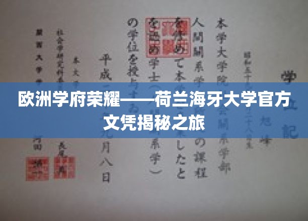 探秘荷兰海牙大学，官方文凭背后的欧洲学府之光
