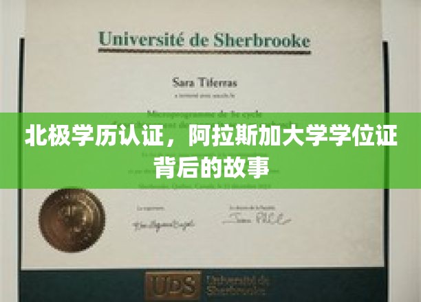 揭秘北极学历认证：阿拉斯加大学学位证的背后故事