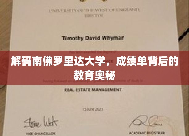 解码南佛罗里达大学，成绩单背后的教育奥秘