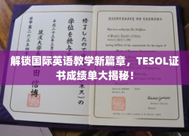 TESOL证书背后的全球教学革新之旅
