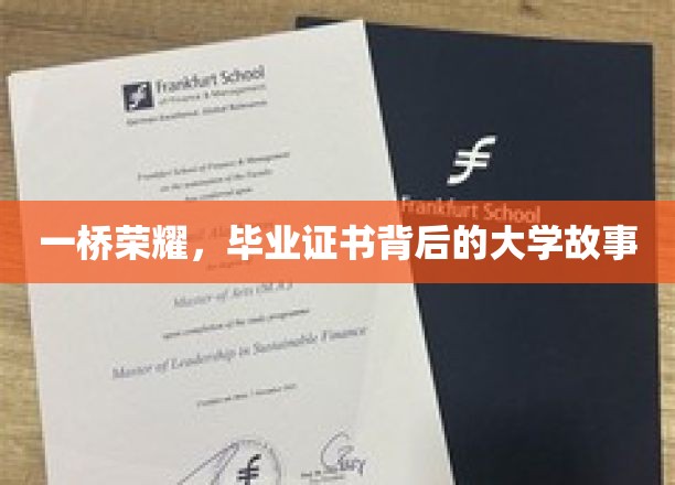 一桥荣耀，毕业证书背后的大学故事