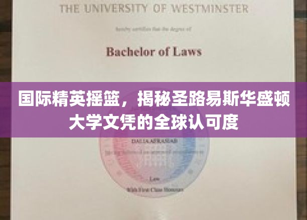 全球精英汇聚之地，圣路易斯华盛顿大学文凭的非凡国际影响力