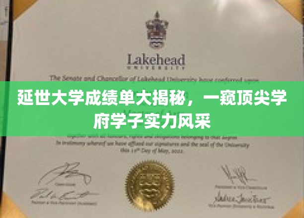 延世大学成绩单大揭秘，一窥顶尖学府学子实力风采