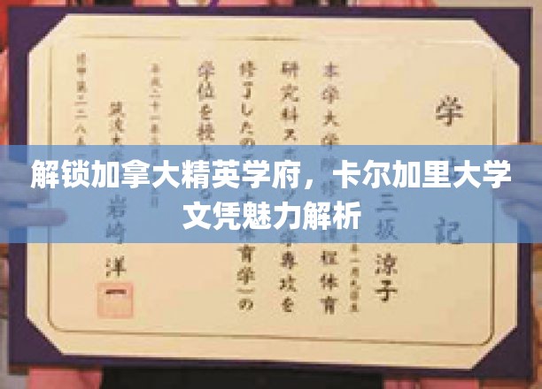 探索卡尔加里大学，精英教育之光，国际文凭的璀璨价值