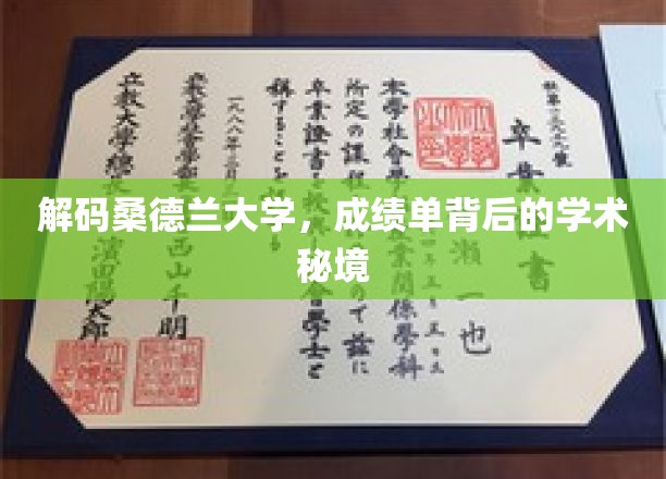 解码桑德兰大学，成绩单背后的学术秘境