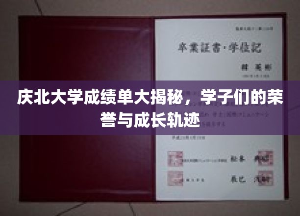 庆北大学学子荣耀全景，成绩单背后的青春足迹