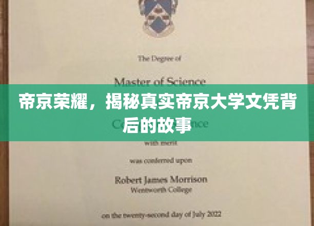 帝京文凭迷雾，探寻帝京大学学历的传奇面纱