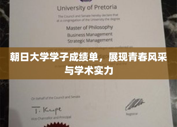 朝日大学学子成绩单，展现青春风采与学术实力