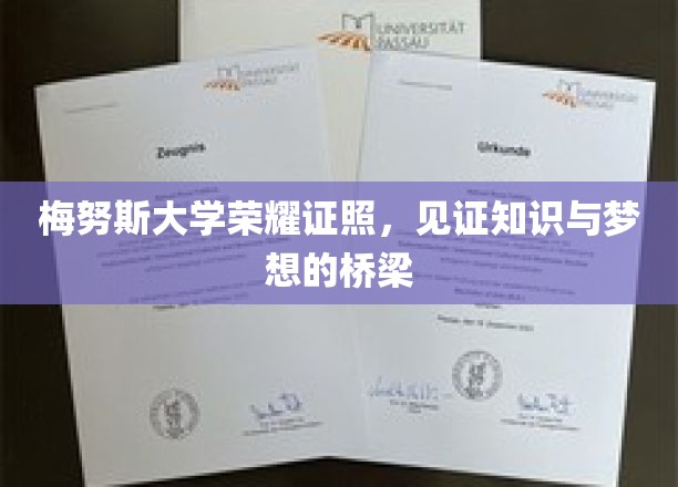 梅努斯荣耀证书，跨越知识殿堂的璀璨里程碑