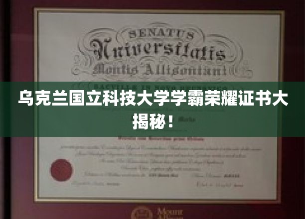 乌克兰国立科技大学学霸证书背后的学霸传奇