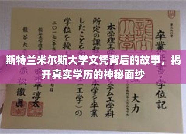 斯特兰米尔斯大学文凭之谜，探寻背后学历的非凡旅程
