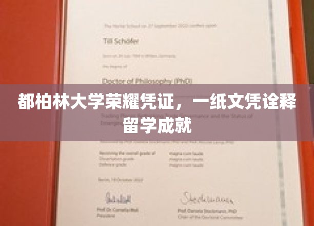 都柏林大学荣耀证书，一纸文凭见证留学成果
