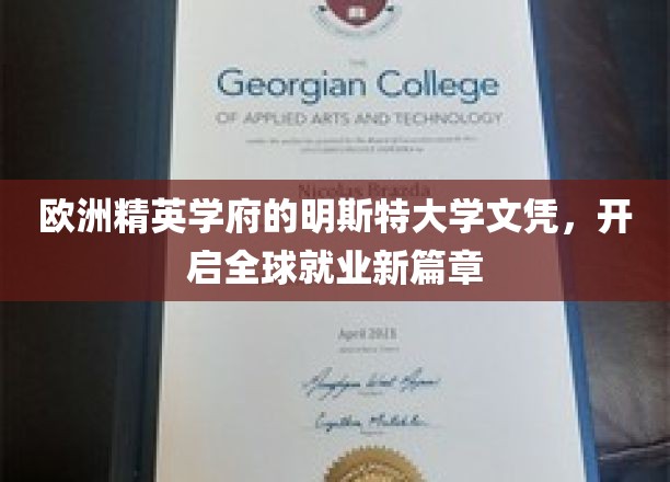 欧洲精英学府的明斯特大学文凭，开启全球就业新篇章