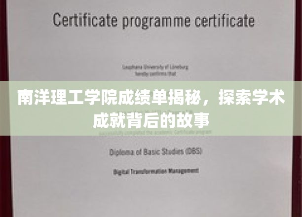 解码南洋理工学院，揭开优秀成绩背后的学术传奇