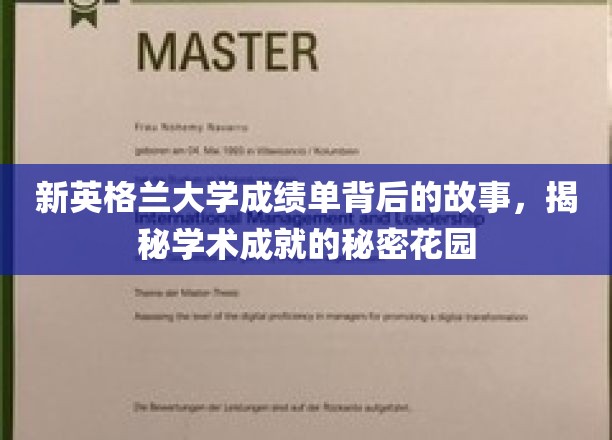 解码新英格兰大学成绩单，探寻学术辉煌的隐秘绿洲