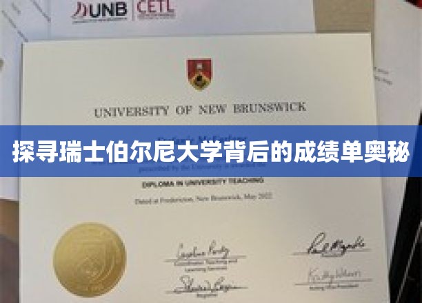 揭秘瑞士伯尔尼大学卓越成就的神秘力量