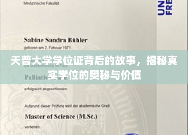 天普大学学位证背后的传奇，探寻学位的深层价值与真实面纱