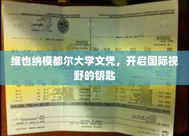 维也纳模都尔大学文凭，开启国际视野的钥匙