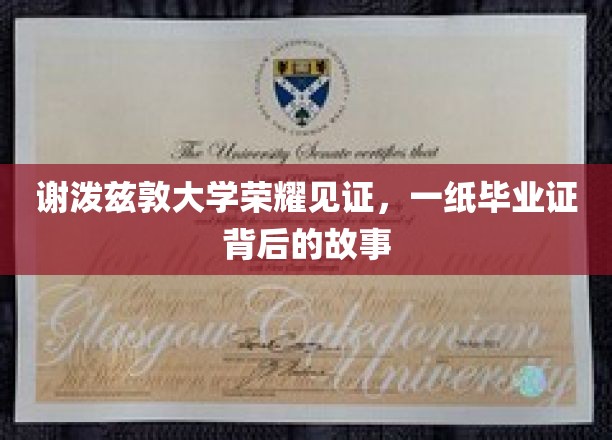谢泼兹敦荣耀时刻，揭秘毕业证书背后的非凡历程