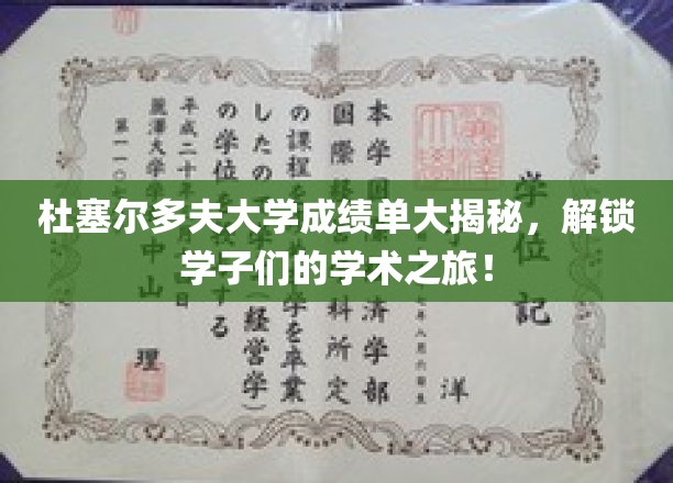杜塞尔多夫大学成绩单大揭秘，解锁学子们的学术之旅！